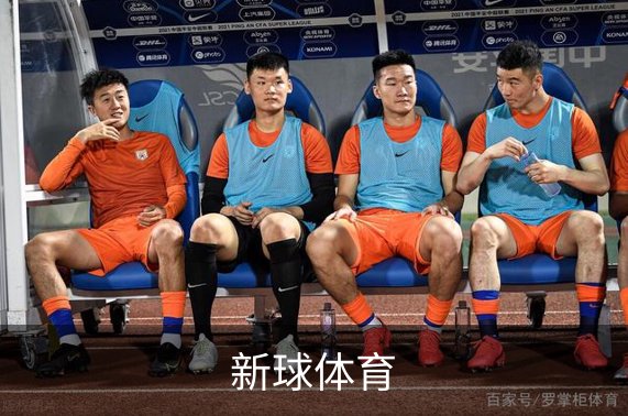 关于新球体育